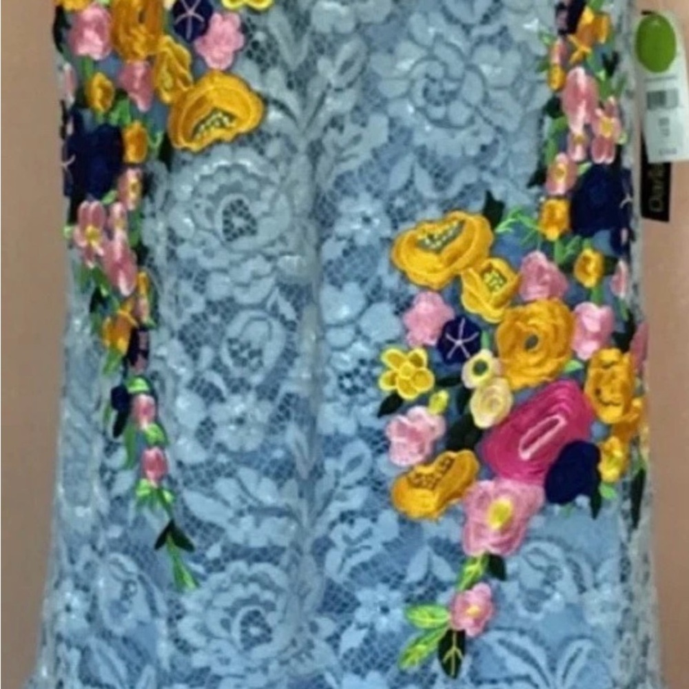 Darian Light Blue Floral Lace Dress. Woman’s Sz. 12 New w/ Tags